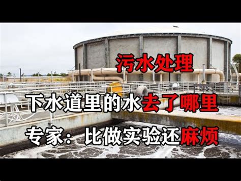 水溝水流去哪|【水溝水流去哪】驚！水溝水竟然流去這裡？別再亂倒廢水了